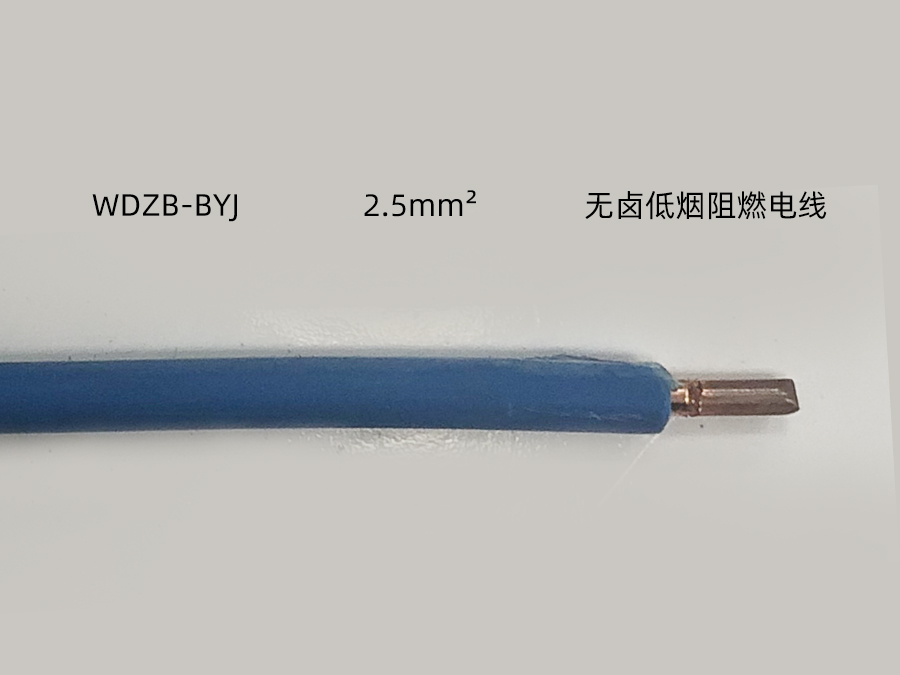 WDZB BYJ 2.5mm2